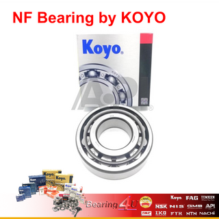 KOYO JTEKT NF305 NF305 PCX160 2021R 25X62X17 Bearing