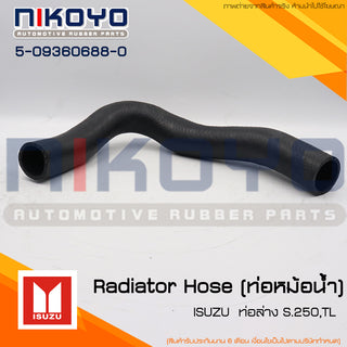 KOYO ISUZU S250TL 5093606880 NIKOYO Bearing