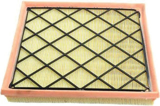 JS,, Air Filter, 13272719, A52011, CHEVROLET (GM)