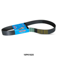 WINPOWER, V-Ribbed Belt, 10PK1025,