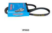 WINPOWER V-Ribbed Belt 3PK825