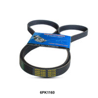 WINPOWER V-Ribbed Belt 6PK1160