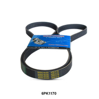 WINPOWER V-Ribbed Belt 6PK1170