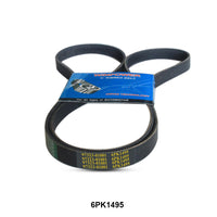 WINPOWER V-Ribbed Belt 6PK1495