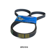 WINPOWER V-Ribbed Belt 6PK1510