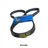 WINPOWER V-Ribbed Belt 6PK1520