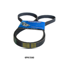 WINPOWER V-Ribbed Belt 6PK1540