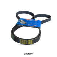 WINPOWER V-Ribbed Belt 6PK1600 252122JTA0