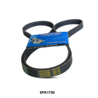 WINPOWER V-Ribbed Belt 6PK1790