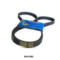 WINPOWER V-Ribbed Belt 6PK1980