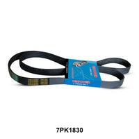 WINPOWER V-Ribbed Belt 7PK1830