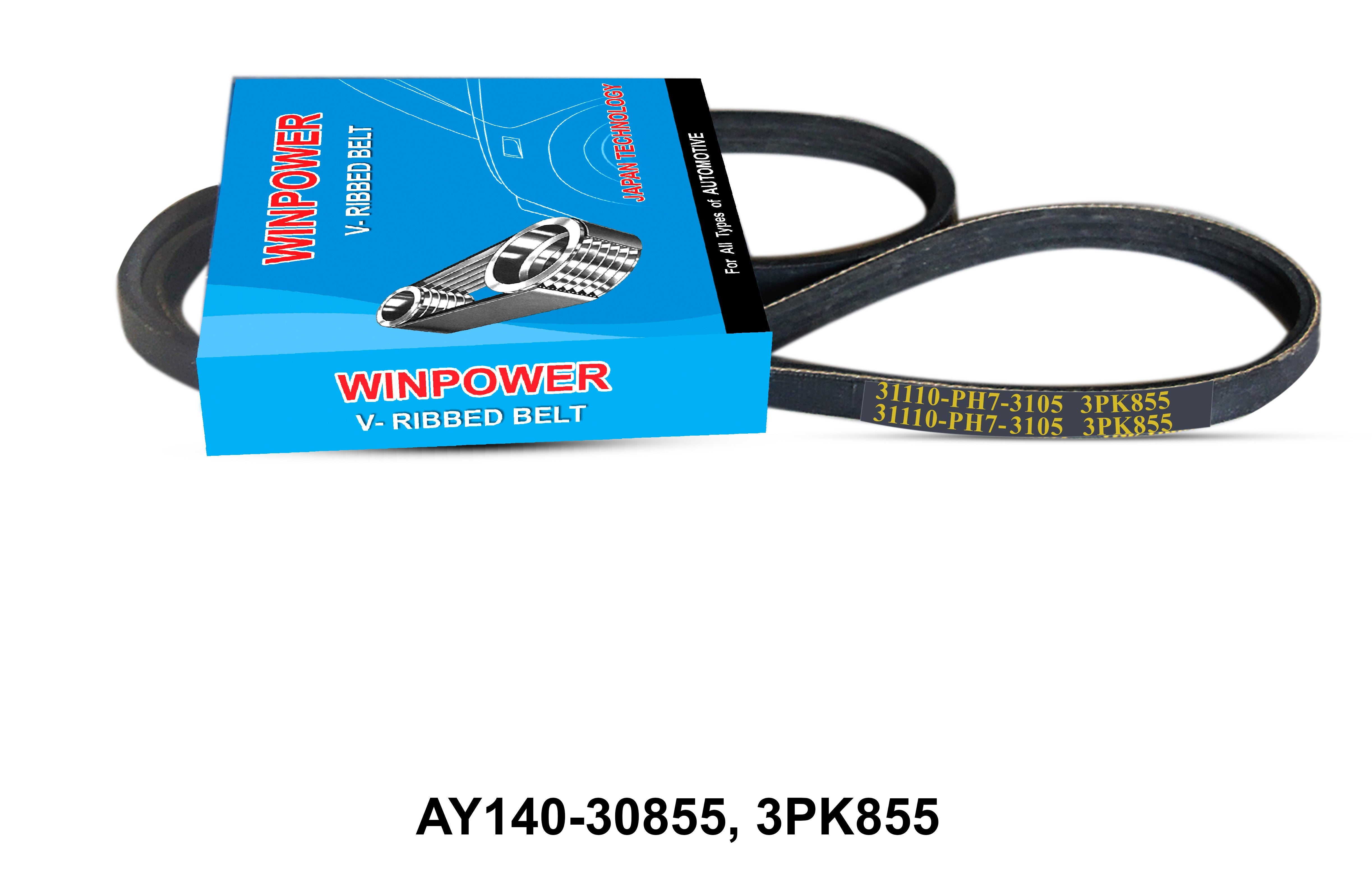 V-Ribbed Belt, WINPOWER, AY140-30855, 3PK855 (002446)