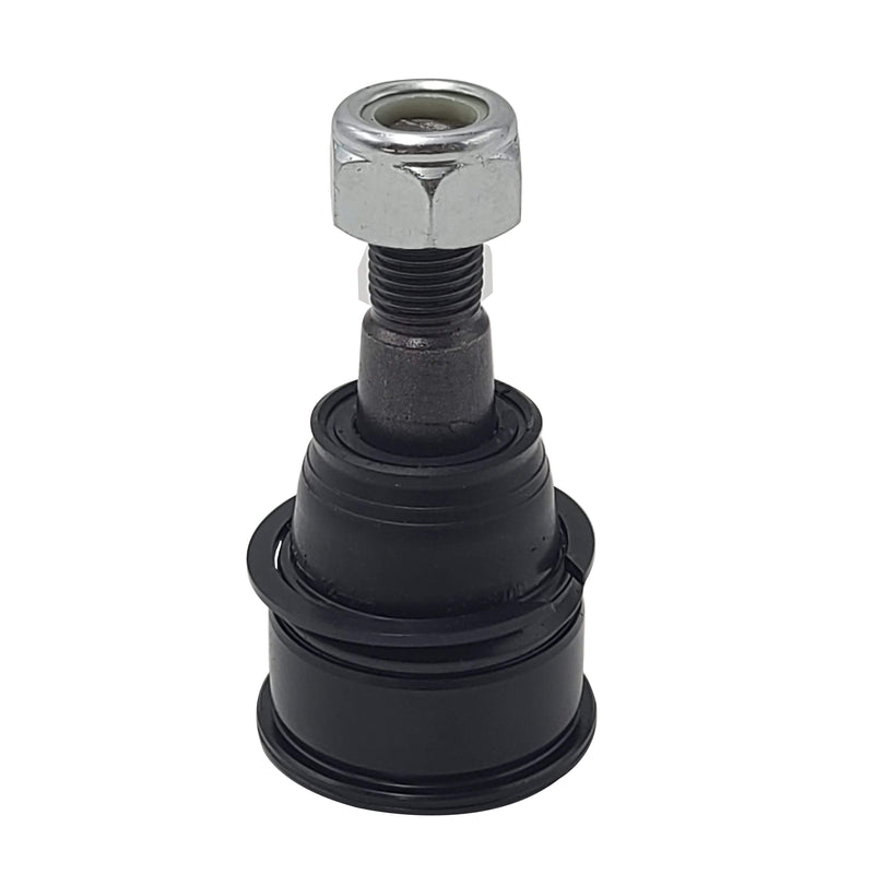 ลูกหมาก CTR CBHO-32 (008413)