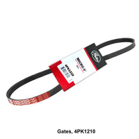 GATES, V-Ribbed Belt, 1N36-18-381,  4PK1105