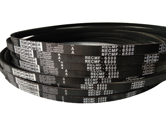 TOYO POWER မှ Raw Edge Cogged V-belt (RECMF) - RECMF-6500 (001039)