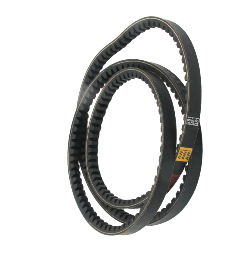 Raw Edge Cogged V-belt (RECMF) - AWI၊ မော်ဒယ် RECMF-8810