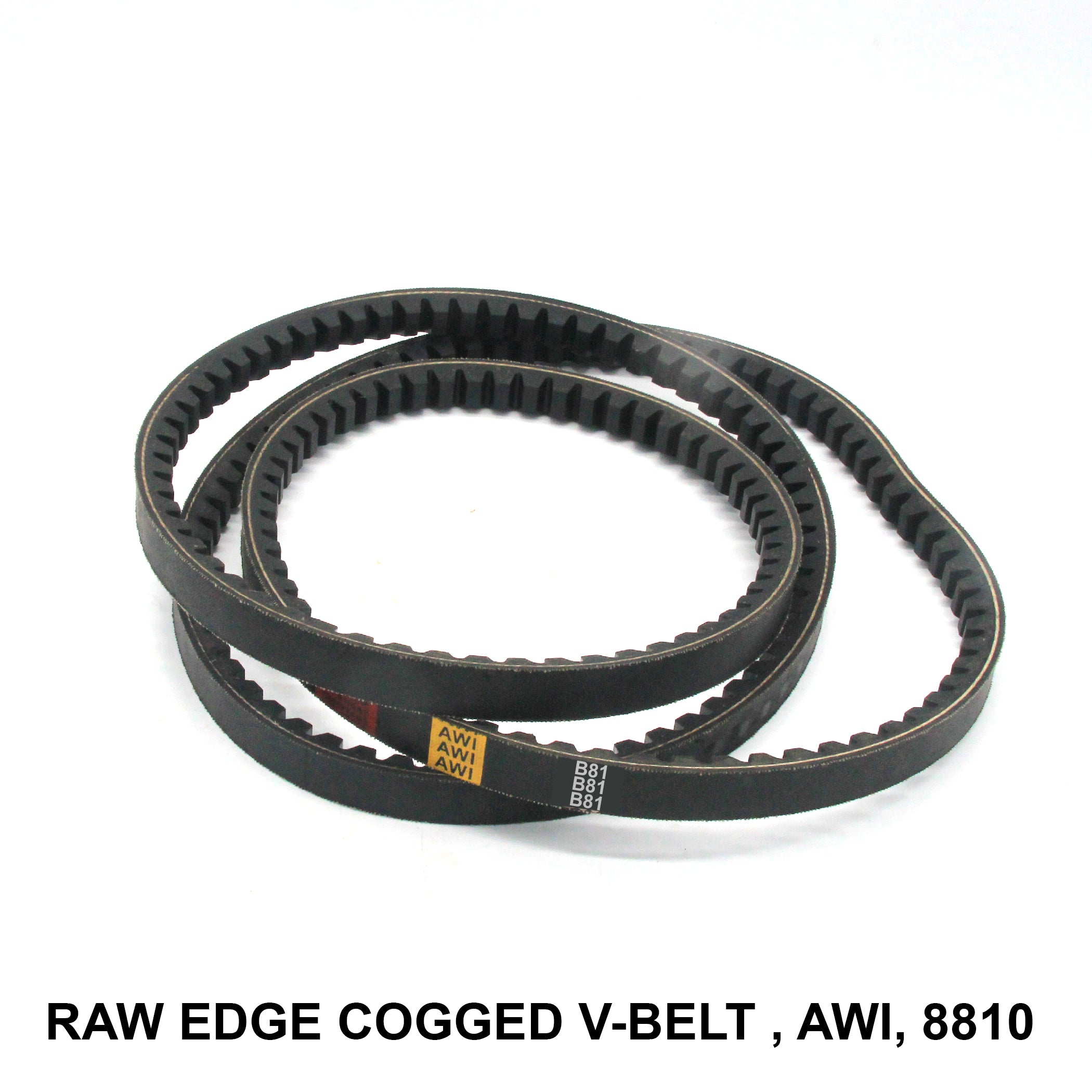 Raw Edge Cogged V-belt (RECMF) - AWI, Model RECMF-8810