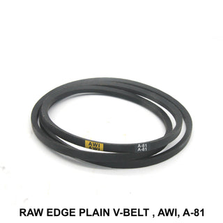 AWI Raw Edge Plain V-Belt (REMF), A-81