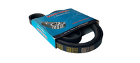 WINPOWER V-Ribbed Belt 4PK765 - 90048-31024