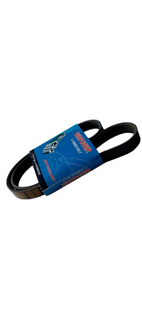 WINPOWER V-Ribbed Belt AY140-6106M 6PK1060