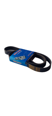 WINPOWER V-Ribbed Belt 7PK1770 - 38920-PNA-013