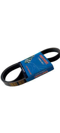 WINPOWER V-Ribbed Belt 6PK1095