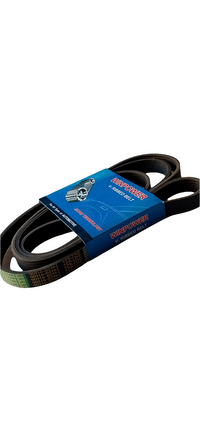 WINPOWER V-Ribbed Belt 6PK2260 - 90916-02462