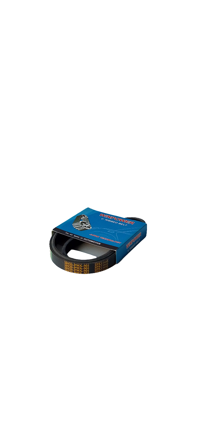 WINPOWER V-Ribbed Belt 5PK1144L - 38920-PWA-901
