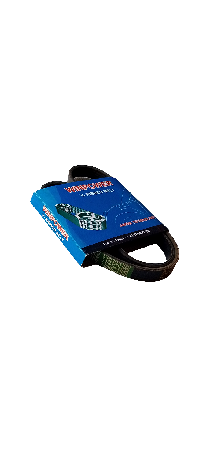 WINPOWER V-Ribbed Belt 5PK875 - Fits OEM 809218340