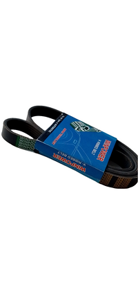 WINPOWER V-Ribbed Belt MD379288 6PK1820L