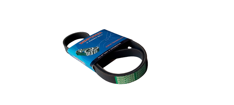 WINPOWER V-Ribbed Belt 6PK1095