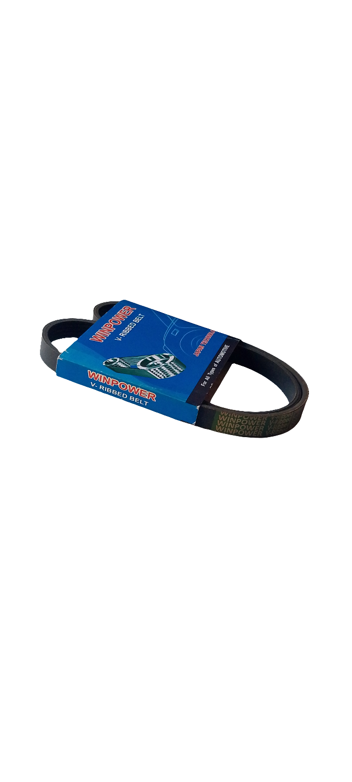 WINPOWER V-Ribbed Belt MD192810 5PK975