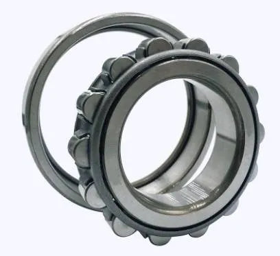 KOYO 100 NF309 NSK NTN ET95 ET110 Bearing