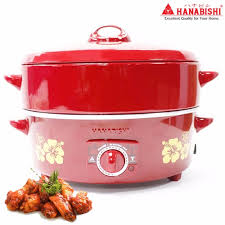 Pan, HANABISHI, 10"Nonstick With Steamer, HGP-10ST