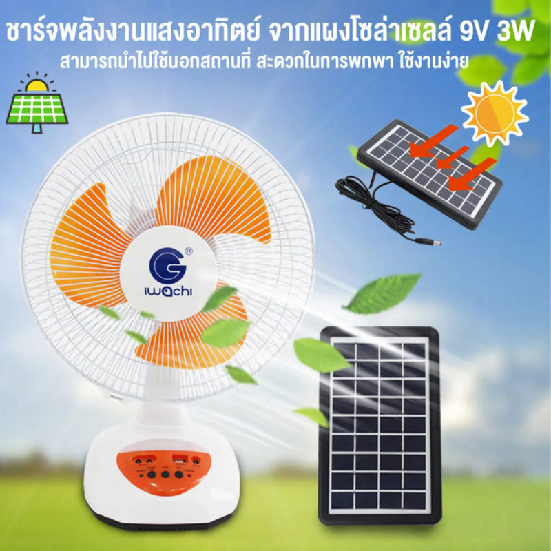 Table Fan, IWACHI, 12"AC/DC, AC/DC 12" fan