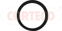 Shaft Seal, differential, CORTECO, OEM 139767, အပိုဒ်နံပါတ် 1 2 0 1 1 0 4 5 B, CARRARO (105151)