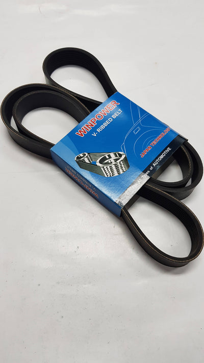 V-Ribbed Belt, WINPOWER, , 6PK2238 (010602) - Win Store