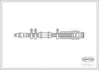 Shaft Seal, crankshaft, CORTECO, OEM 11217838071, Article number 1 9 0 3 7 1 6 6 B, BMW (110152)