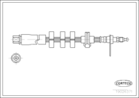 แหวนซีล,ปลั๊กถ่ายน้ำมันเครื่อง,CORTECO, OEM 0114 3554, หมายเลขสินค้า 4 0 2 1 1 6 S, DEUTZ-FAHR (111846)