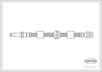 แหวนซีล, ปลั๊กถ่ายน้ำมันเครื่อง, CORTECO, OEM N 013 815 7, เลขทะเบียน 4 0 2 1 2 9 H, AUDI (111849)