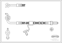 Brake Hose, CORTECO, OEM 6941703, Article number 1 9 0 3 2 1 6 1, FORD (108083)၊