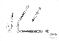Brake Hose, CORTECO, OEM GBH255, Article number 1 9 0 3 2 2 1 7, MG (108136)
