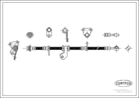 Brake Hose, CORTECO, OEM 01464SR3N02, Article number 1 9 0 3 2 9 0 1, HONDA (108679)