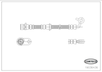 Brake Hose, CORTECO, OEM 01464SWA000, Article number 1 9 0 3 6 4 3 6, HONDA (109879)
