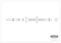 Brake Hose, CORTECO, OEM 462100001R, Article number 1 9 0 3 6 5 3 7, RENAULT (109913)