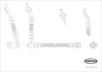 Brake Hose, CORTECO, OEM 9094702C82, Rear Axle, Length 330mm, TOYOTA