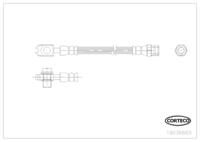 Brake Hose, CORTECO, OEM , Article number 1 9 0 3 6 6 6 5,  (109960)