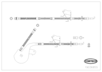 Brake Hose, CORTECO, OEM 4806J3, Article number 1 9 0 3 6 8 5 5, CITROÃƒÆ’Ã†â€™Ãƒâ€ Ã¢â‚¬â„¢ÃƒÆ’Ã‚Â¢ÃƒÂ¢Ã¢â‚¬Å¡Ã‚Â¬Ãƒâ€šÃ‚Â¹N/PEUGEOT (110052)