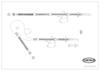 Brake Hose, CORTECO, OEM 4806J4, Article number 1 9 0 3 6 8 5 6, CITROÃƒÆ’Ã†â€™Ãƒâ€ Ã¢â‚¬â„¢ÃƒÆ’Ã‚Â¢ÃƒÂ¢Ã¢â‚¬Å¡Ã‚Â¬Ãƒâ€šÃ‚Â¹N/PEUGEOT (110053)