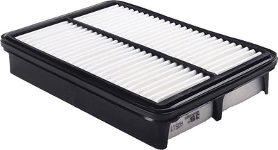 JS, Air Filter, 28113-08000, A2517, HYUNDAI
